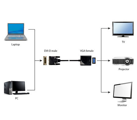 GEMBIRD Adapter DVI-D/VGA 24M/15F