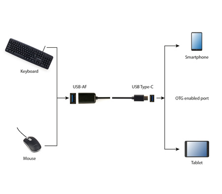 GEMBIRD Adapter USB Typ-C 2.0 męski -> USB żeński