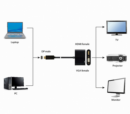 GEMBIRD Adapter DisplayPort do HDMI + VGA